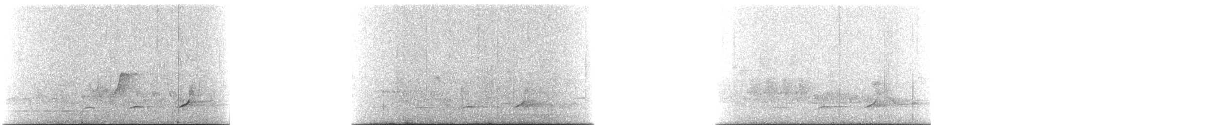 Crested Bobwhite - ML240547081
