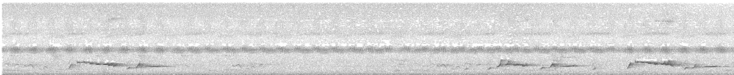 白腰鵲鴝 - ML240551901