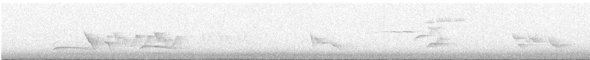 鷹科(中、小型) - ML240568091