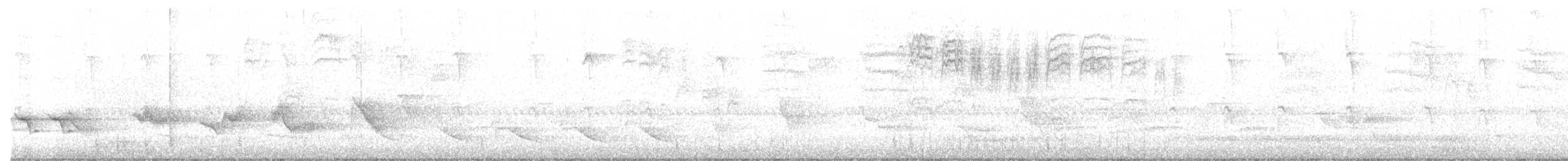 Піранга кармінова - ML240577481
