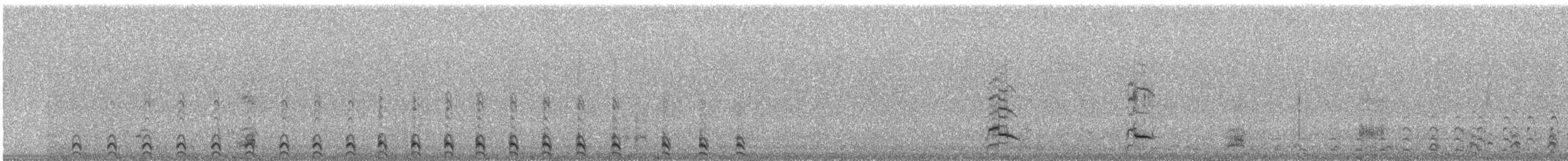 Gallinule d'Amérique (garmani) - ML240585