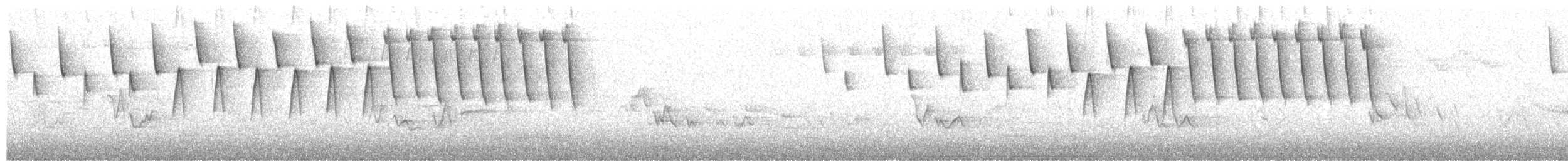Tennessee Warbler - ML240587981