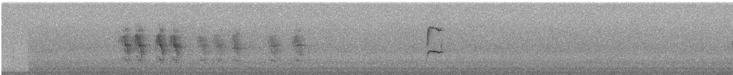 Puna Thistletail - ML240593