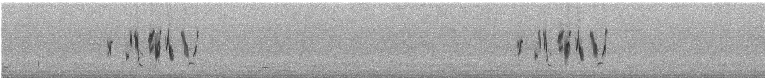 Патагонский конёк [группа correndera] - ML240604