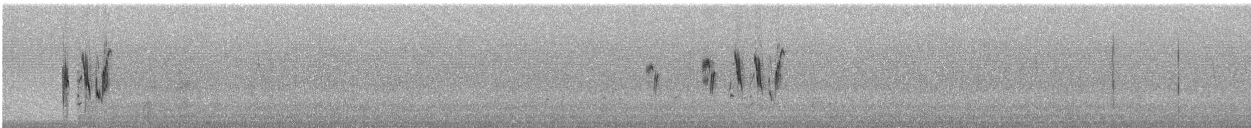 Патагонский конёк [группа correndera] - ML240606