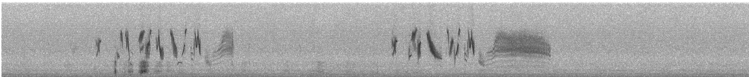 Патагонский конёк [группа correndera] - ML240609