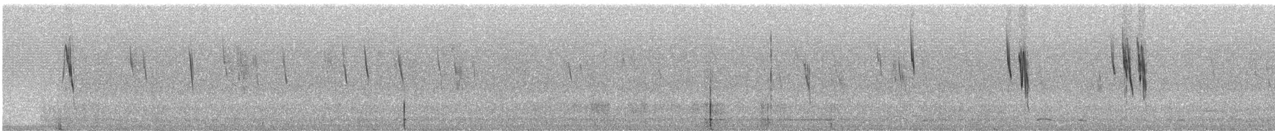solbukspurv (luteola gr.) - ML240613