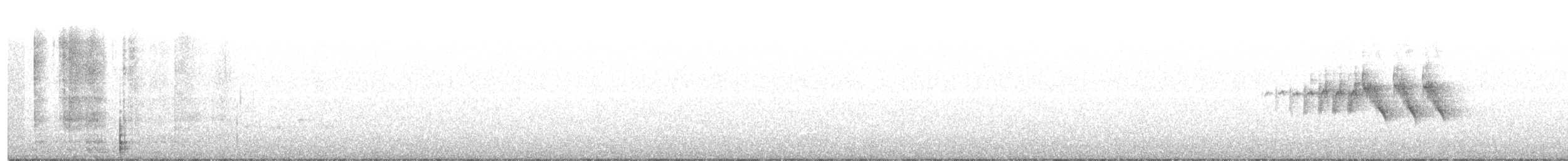 Black-throated Gray Warbler - ML240614051