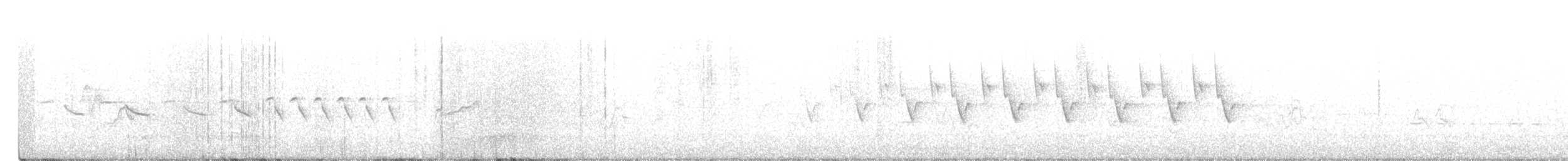 grånakkespurv - ML240614881