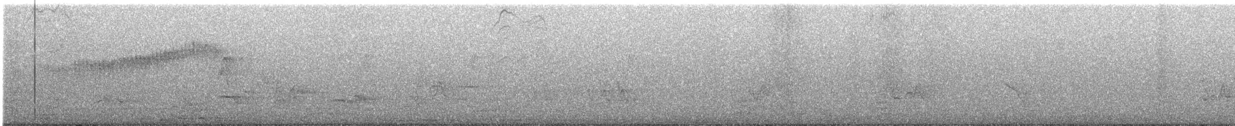 Parula Norteña - ML240619091