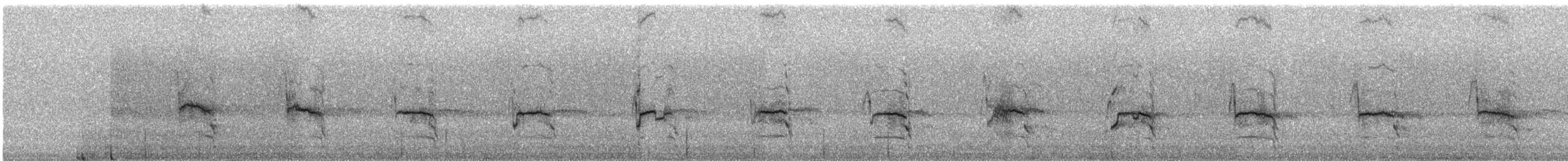 Variable Hawk - ML240625