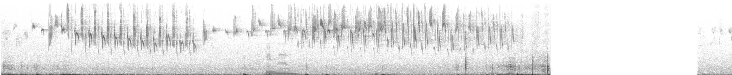 Superb Fairywren - ML240677681