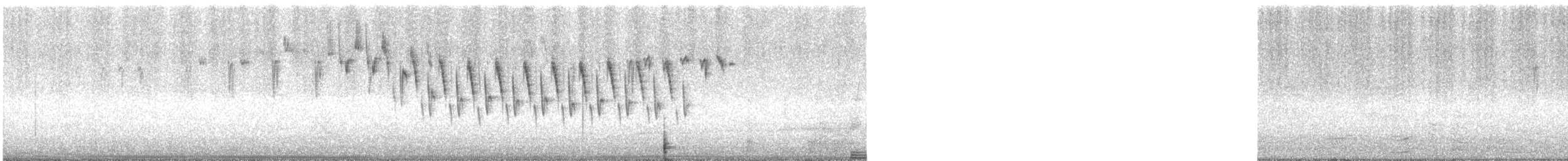 Superb Fairywren - ML240678131