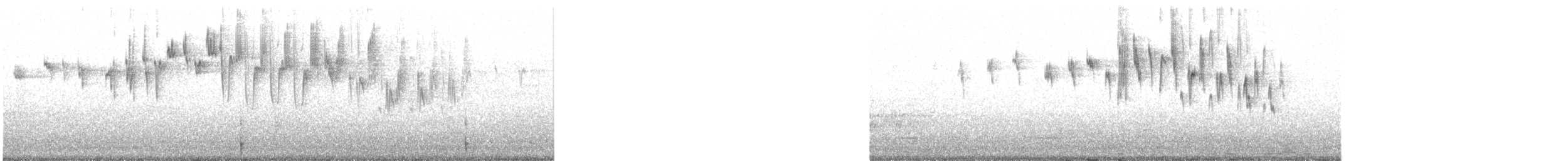 Superb Fairywren - ML240678211