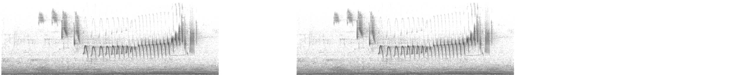 Superb Fairywren - ML240678371