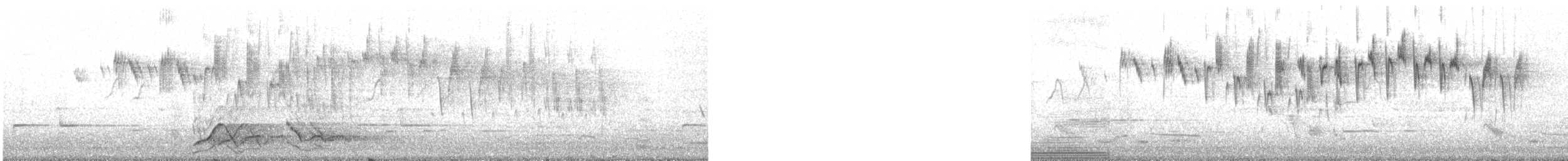 Superb Fairywren - ML240678381