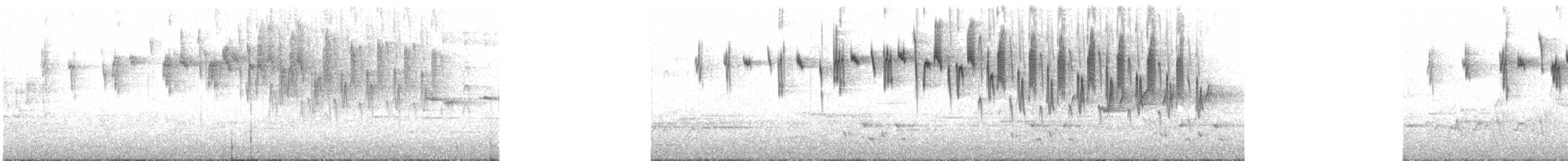 Superb Fairywren - ML240678751