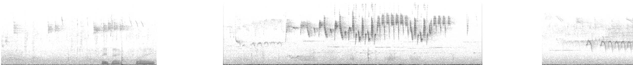 Superb Fairywren - ML240678771