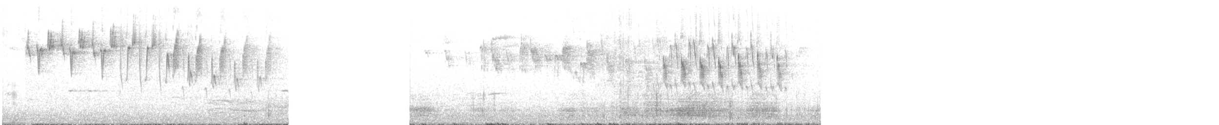 Superb Fairywren - ML240678901