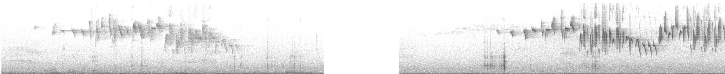 Superb Fairywren - ML240679011