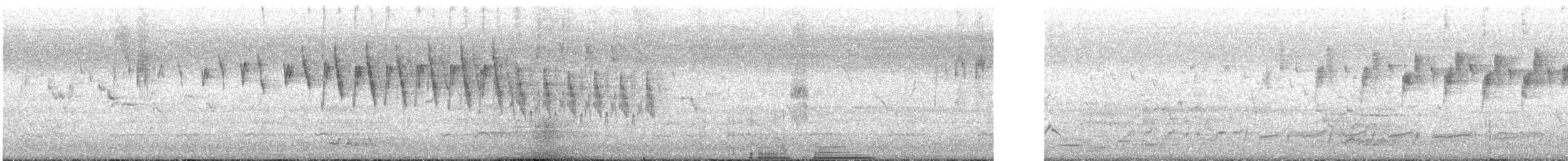 Superb Fairywren - ML240679621