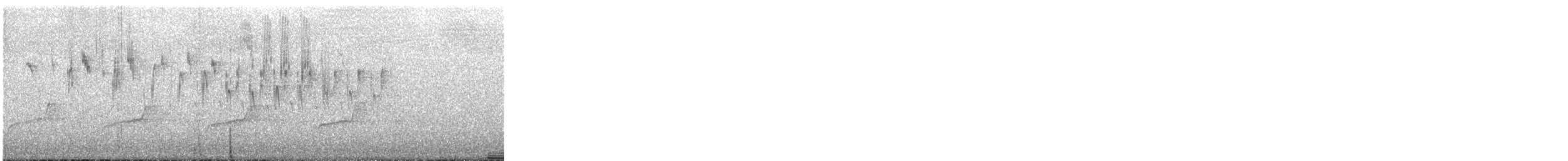 Superb Fairywren - ML240679671