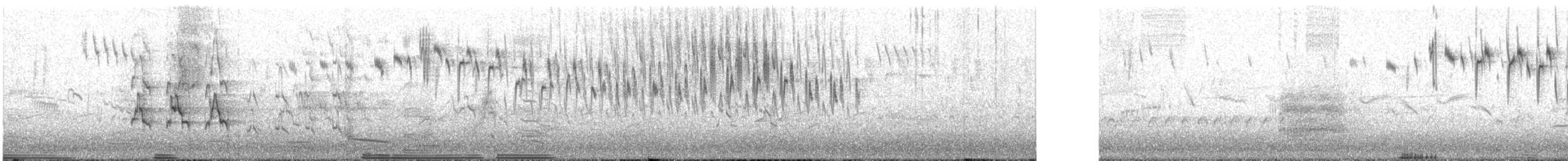 Superb Fairywren - ML240679691