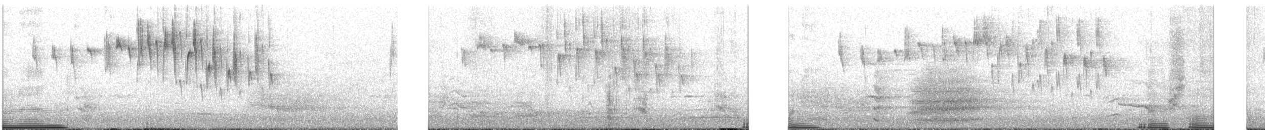 Superb Fairywren - ML240679831