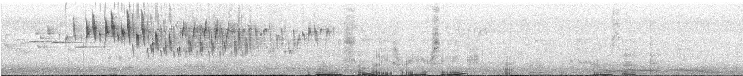 Superb Fairywren - ML240679981