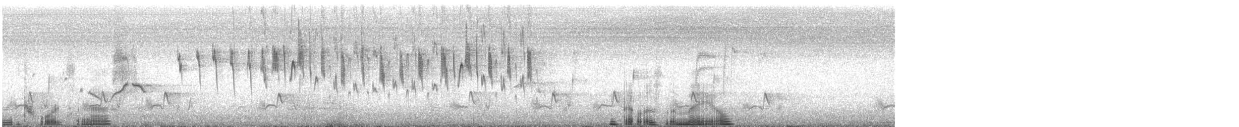 Superb Fairywren - ML240680001