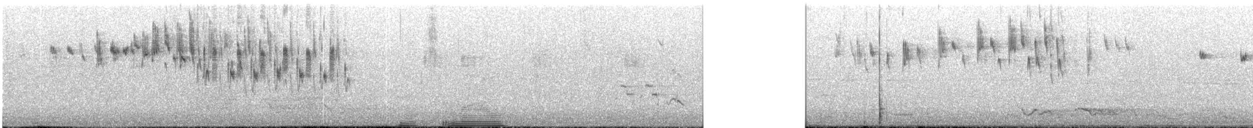 Superb Fairywren - ML240680051