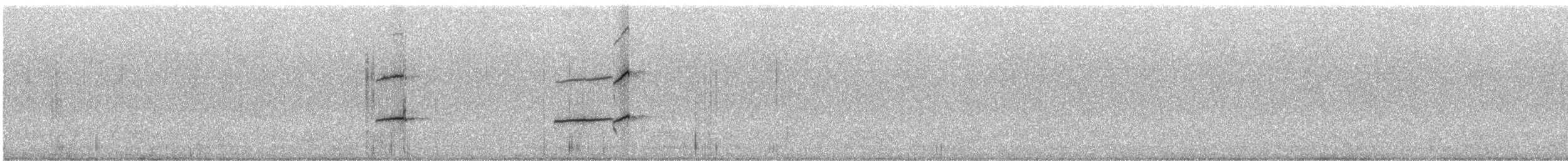 ústřičník žlutooký - ML240683