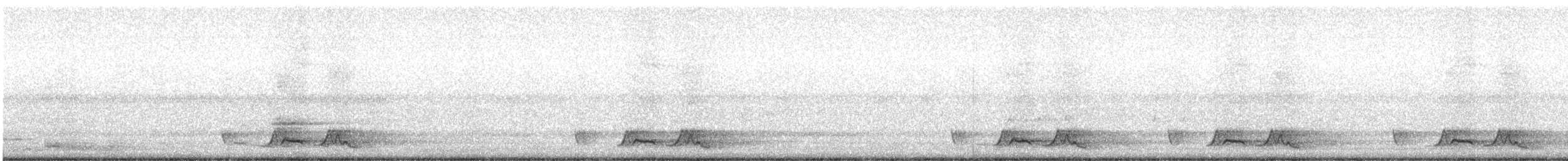 Carolinanachtschwalbe - ML240714401