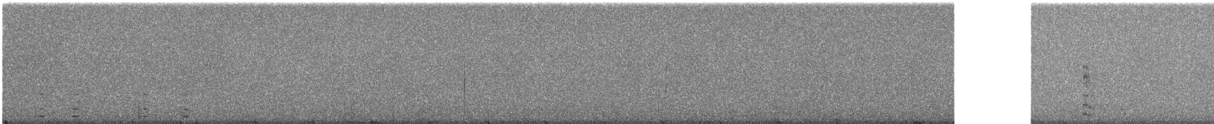 ハジロオオバン - ML240716