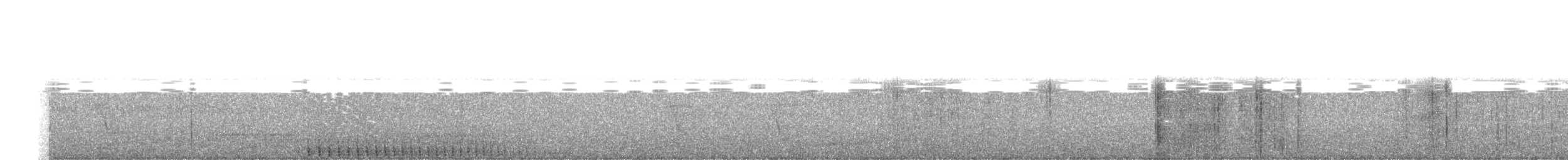 Lineated Woodpecker - ML240723601