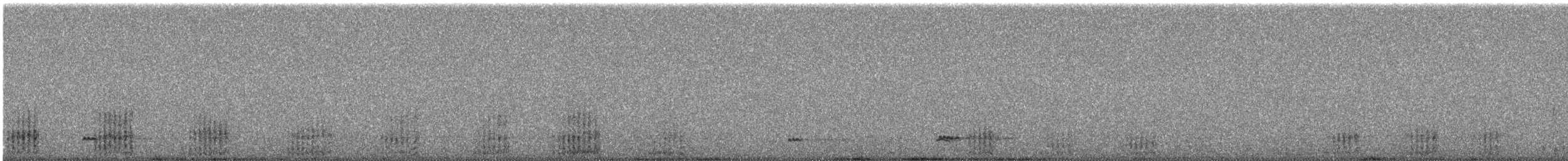 Red Shoveler - ML240724