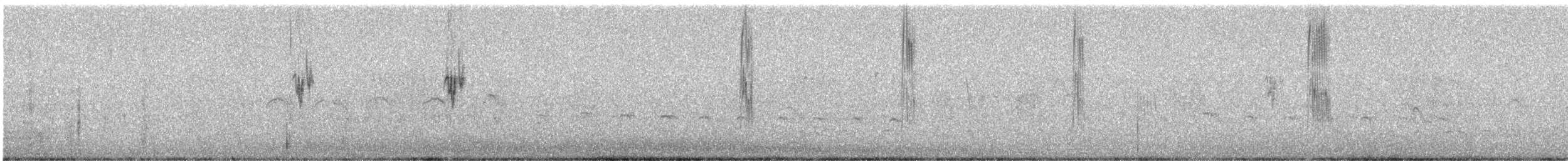 Патагонский конёк [группа correndera] - ML240732