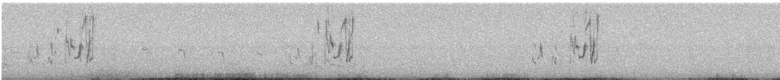Пампасник великий (підвид platensis) - ML240735