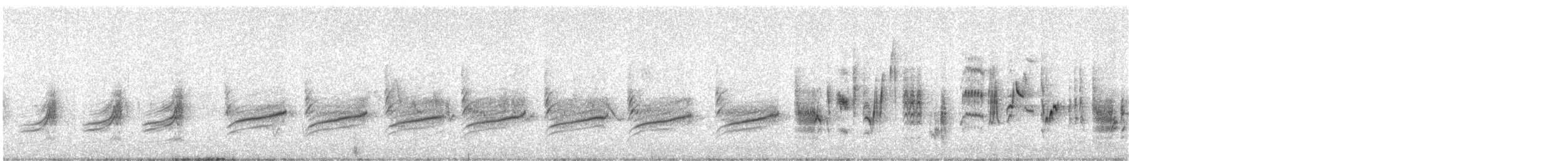 Берестянка багатоголоса - ML240740541