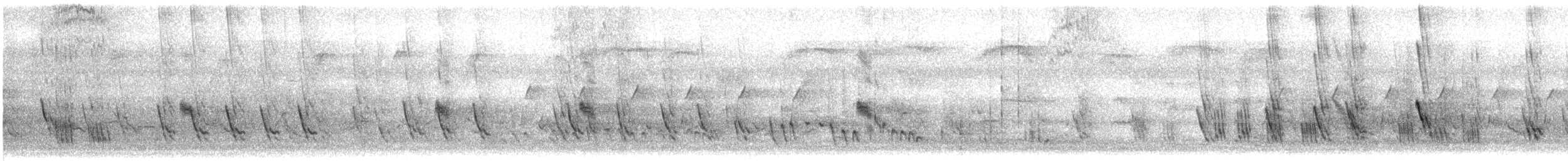 Purple Martin - ML240757381