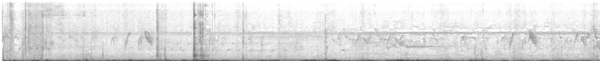 tyranovec vrbový - ML240760851