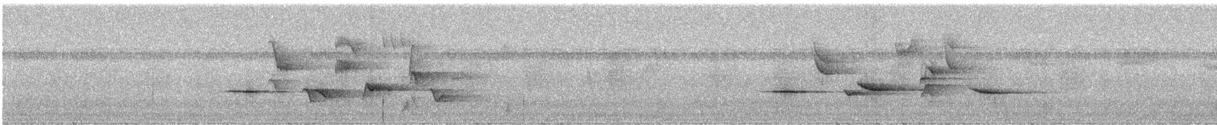 Дрізд-самітник (підвид chubbi) - ML240765