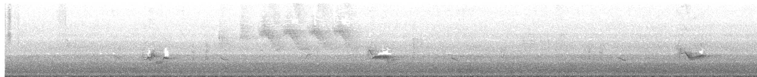 zelenáček žlutoprsý - ML240793671