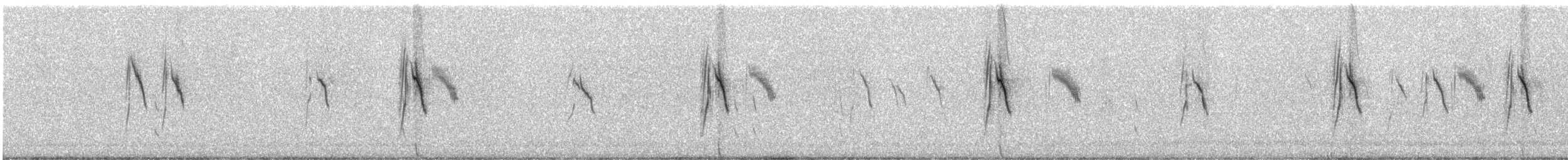 Western Yellow Wagtail - ML240810