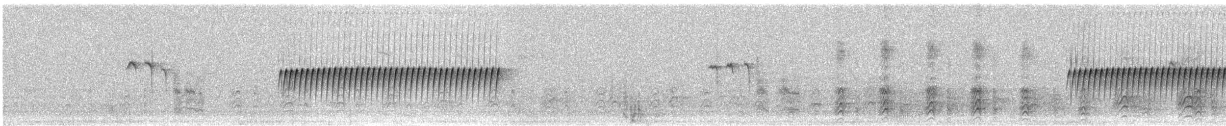 strnadec zimní [skupina oreganus] - ML240814911