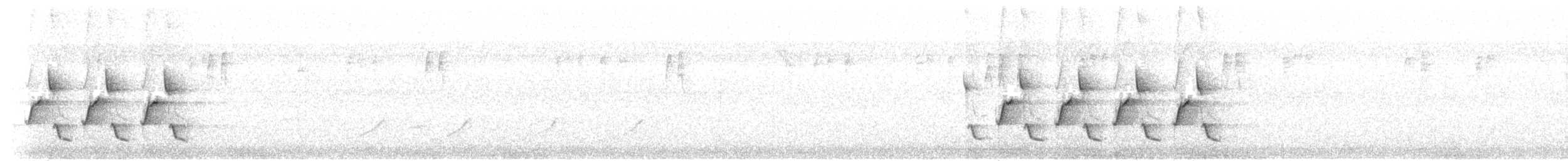 Каролинский крапивник - ML240814991