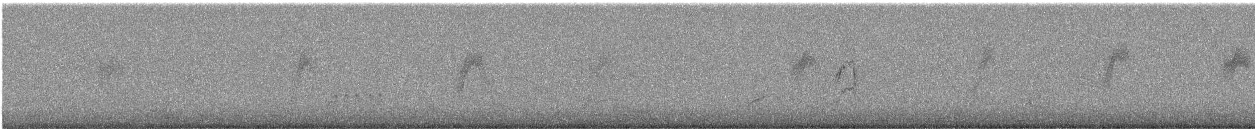 Вівсянчик сіроголовий - ML240817