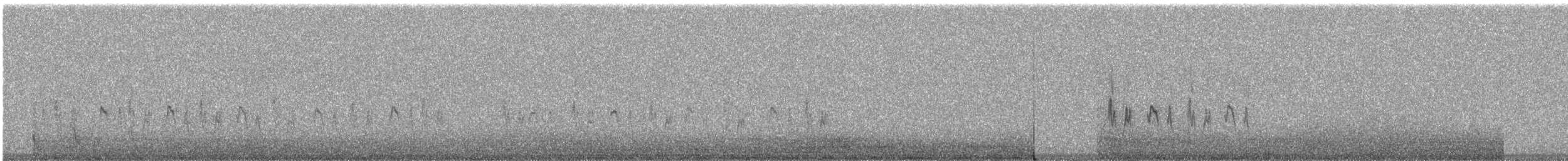 Tarçın Karınlı Bülbül Tiranı - ML240822