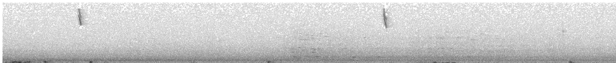 strnadec luční (ssp. princeps) - ML24082481