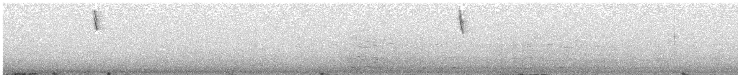 Savannah Sparrow (Ipswich) - ML24082481